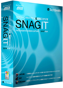 Techsmith Snagit v11.0.1 Build 93 Final / RePack / Portable (2012) Русский + Английский