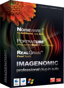 Imagenomic Noiseware / Portraiture / RealGrain - Plug-In for Photoshop (2012) Английский
