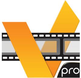 ACD Systems acdVIDEO Converter 2 Professional 2.0.23 + Portable (2012) Русский + Английский