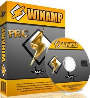 Winamp Pro 5.65 Build 3438 Final Portable by Baltagy (2013) Multi/Русский